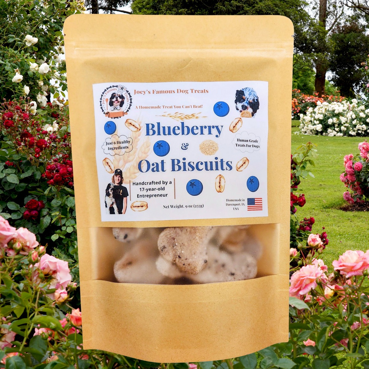 Blueberry and Oat Biscuits - Joey's Famous Dog Treats