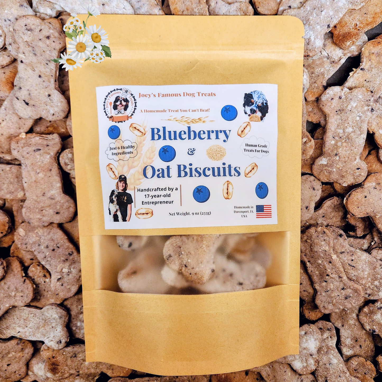 Blueberry and Oat Biscuits