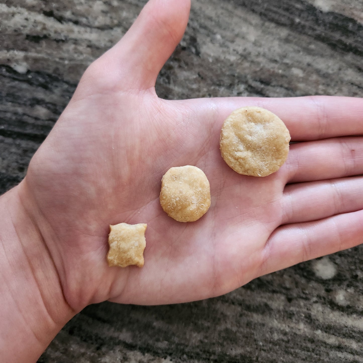 Peanut Butter Training Treats