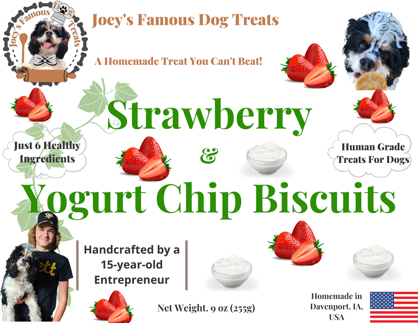 Strawberry & Yogurt Chip Biscuits