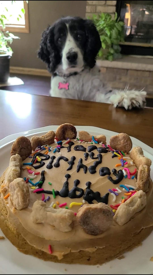 Birthday Cake - Joey's Famous Dog Treats