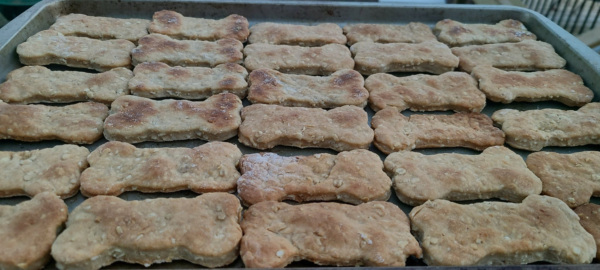 Peanut Butter Banana Biscuits - Joey's Famous Dog Treats