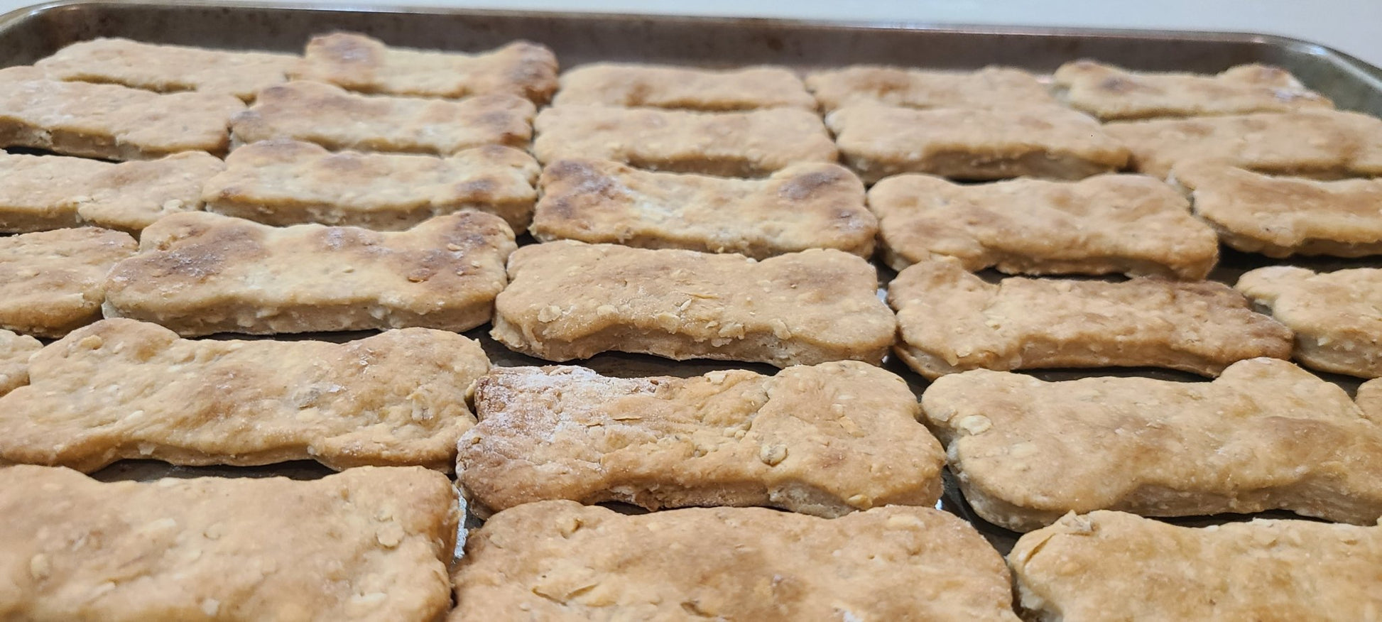 Peanut Butter Banana Biscuits - Joey's Famous Dog Treats