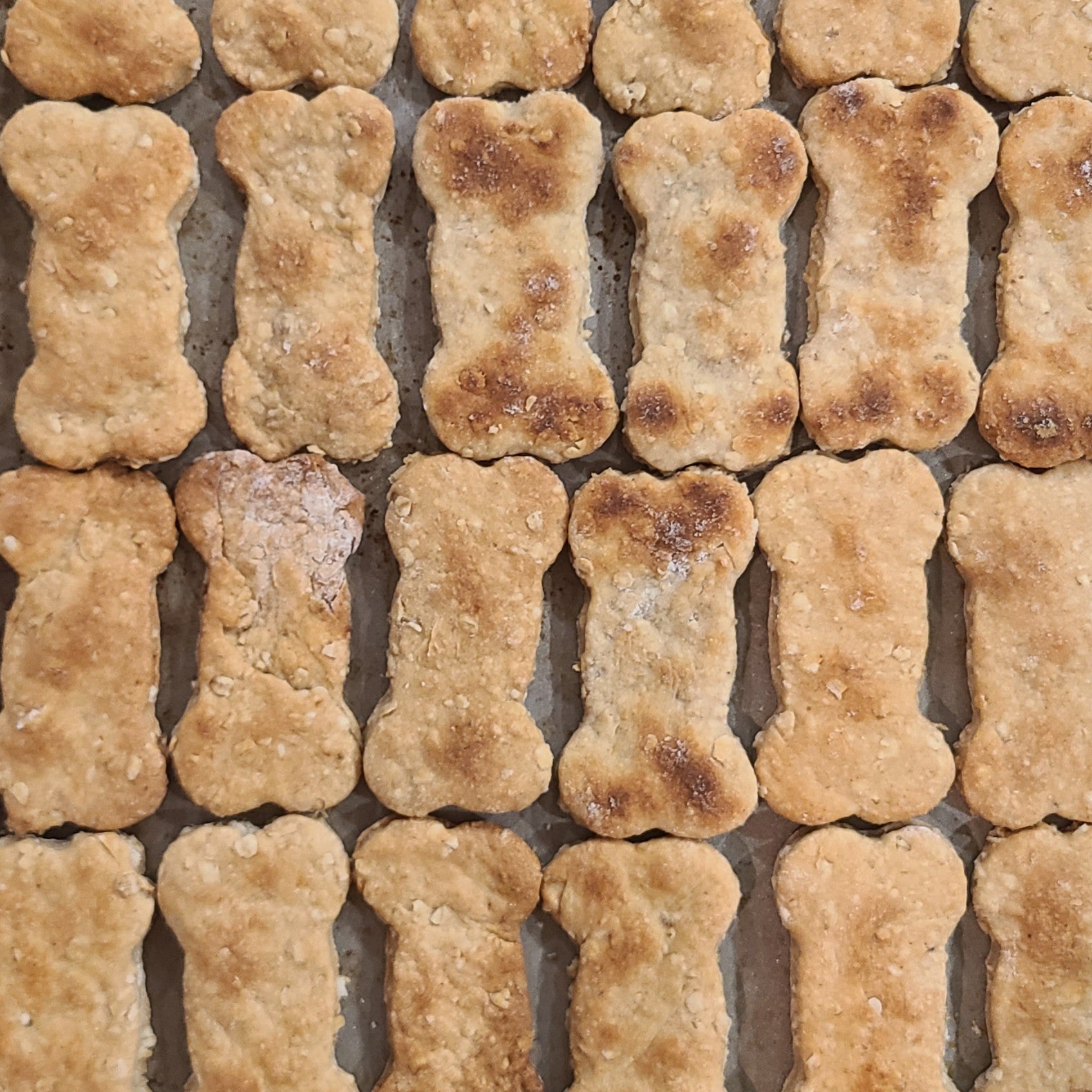 Peanut Butter Banana Biscuits - Joey's Famous Dog Treats