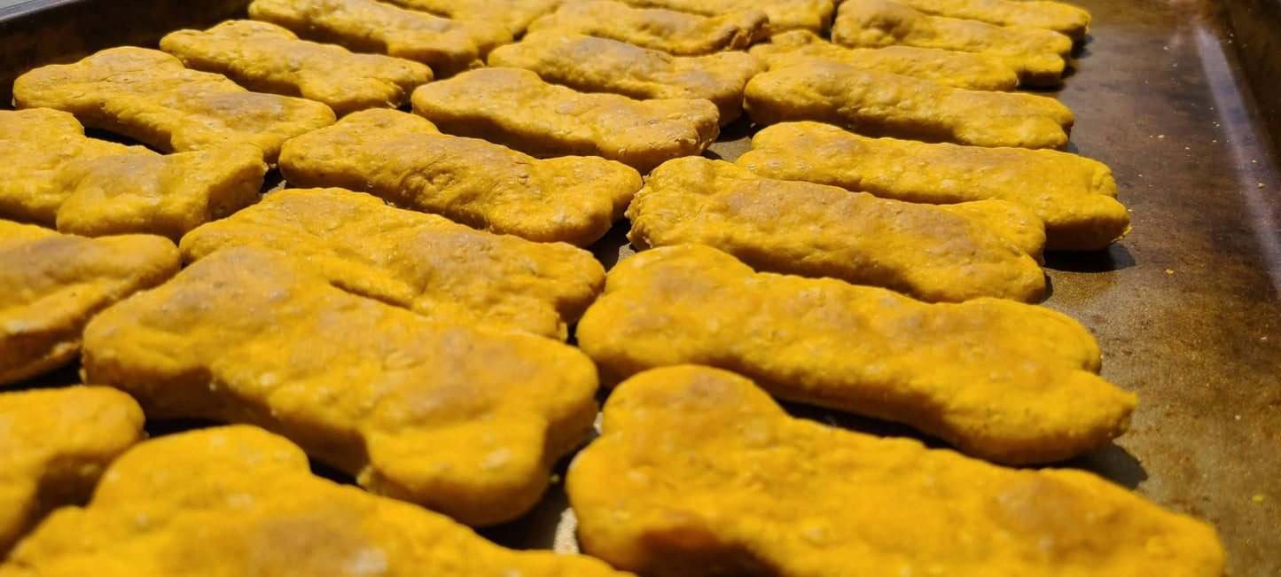 Pumpkin Biscuits - Joey's Famous Dog Treats