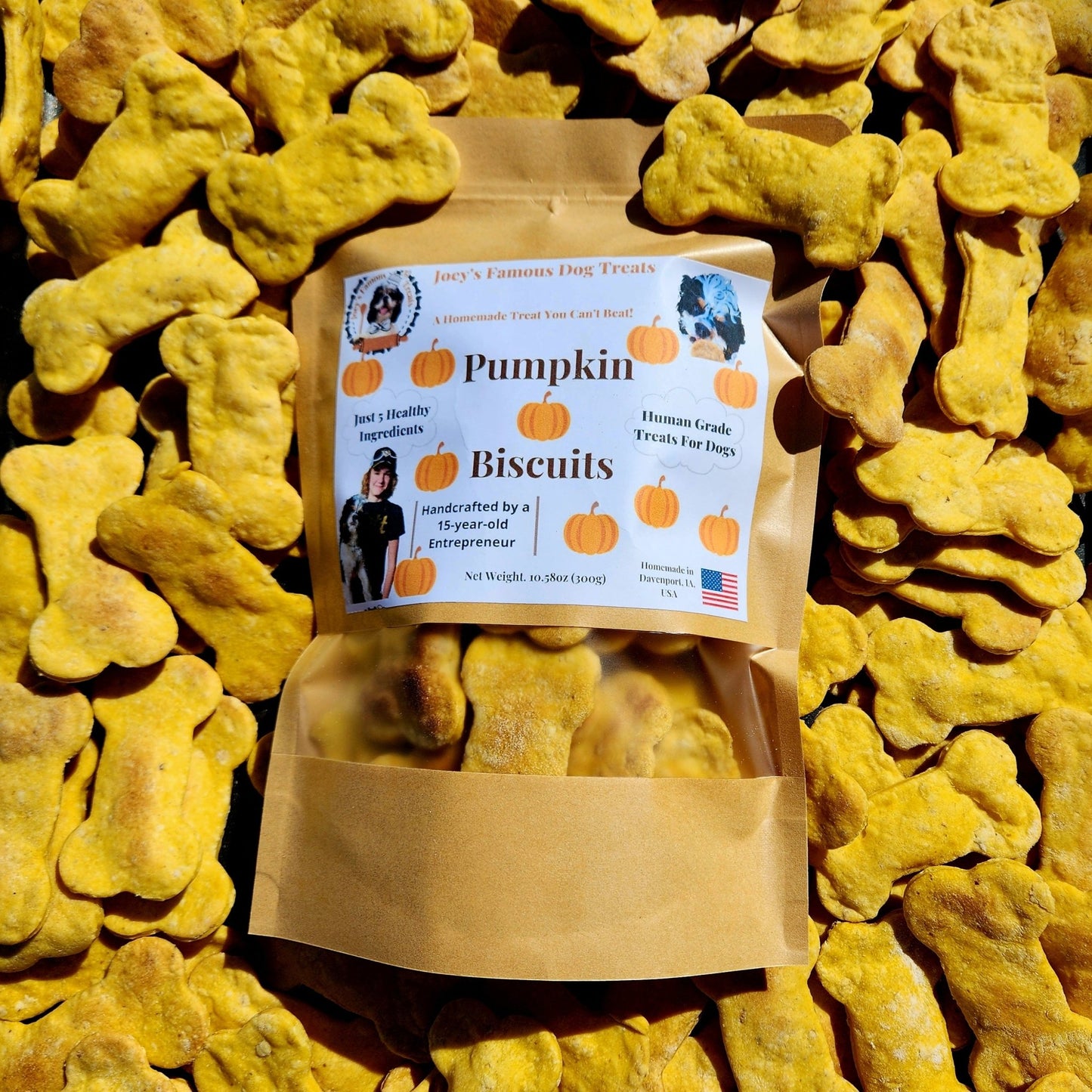 Pumpkin Biscuits - Joey's Famous Dog Treats