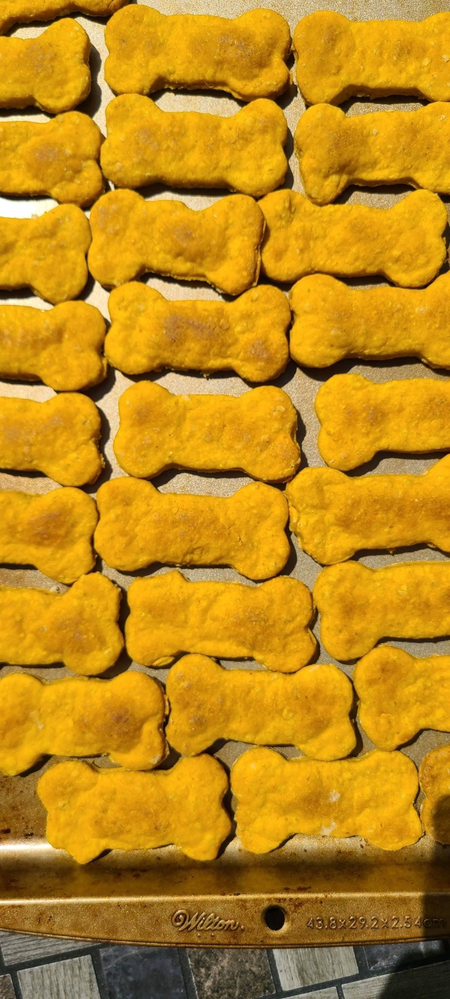 Pumpkin Biscuits - Joey's Famous Dog Treats