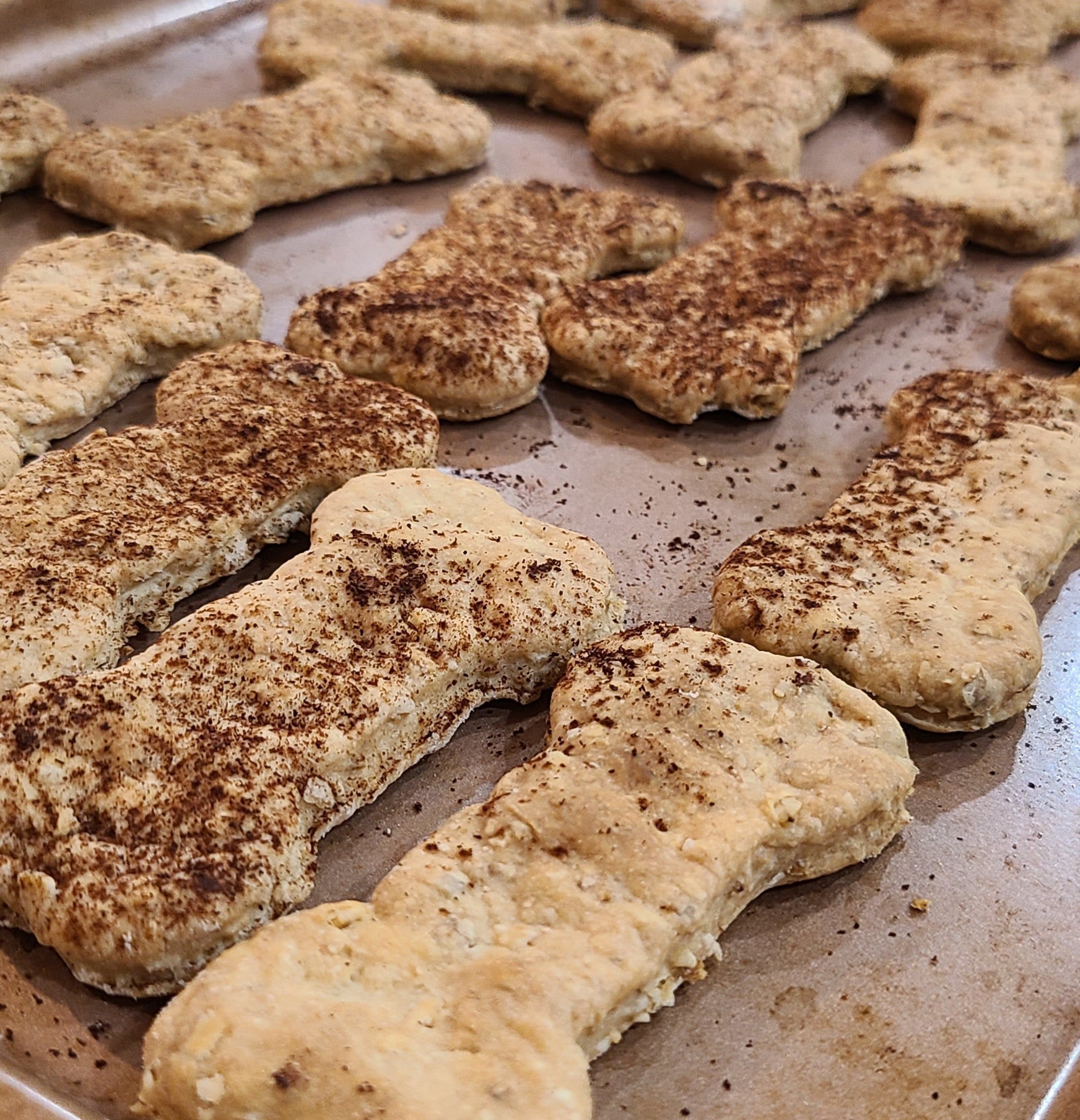 Snickerdoodle Biscuits - Joey's Famous Dog Treats