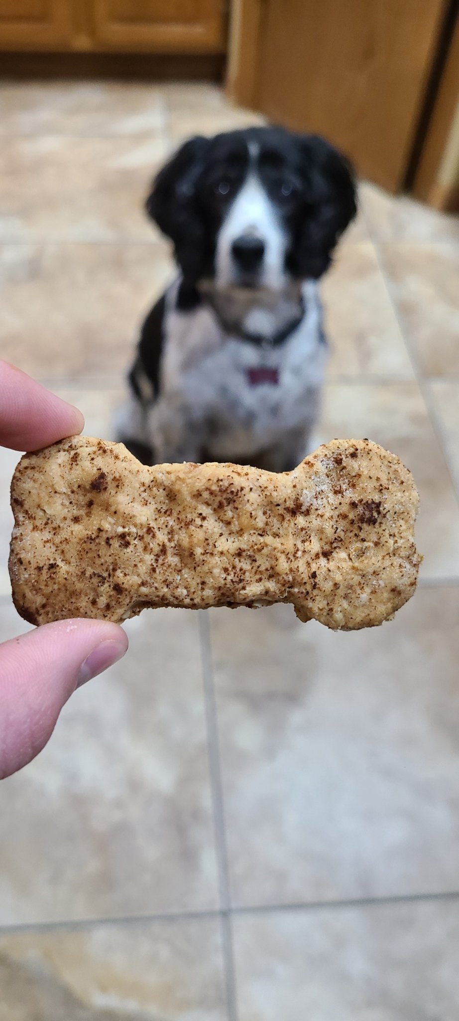 Snickerdoodle Biscuits - Joey's Famous Dog Treats