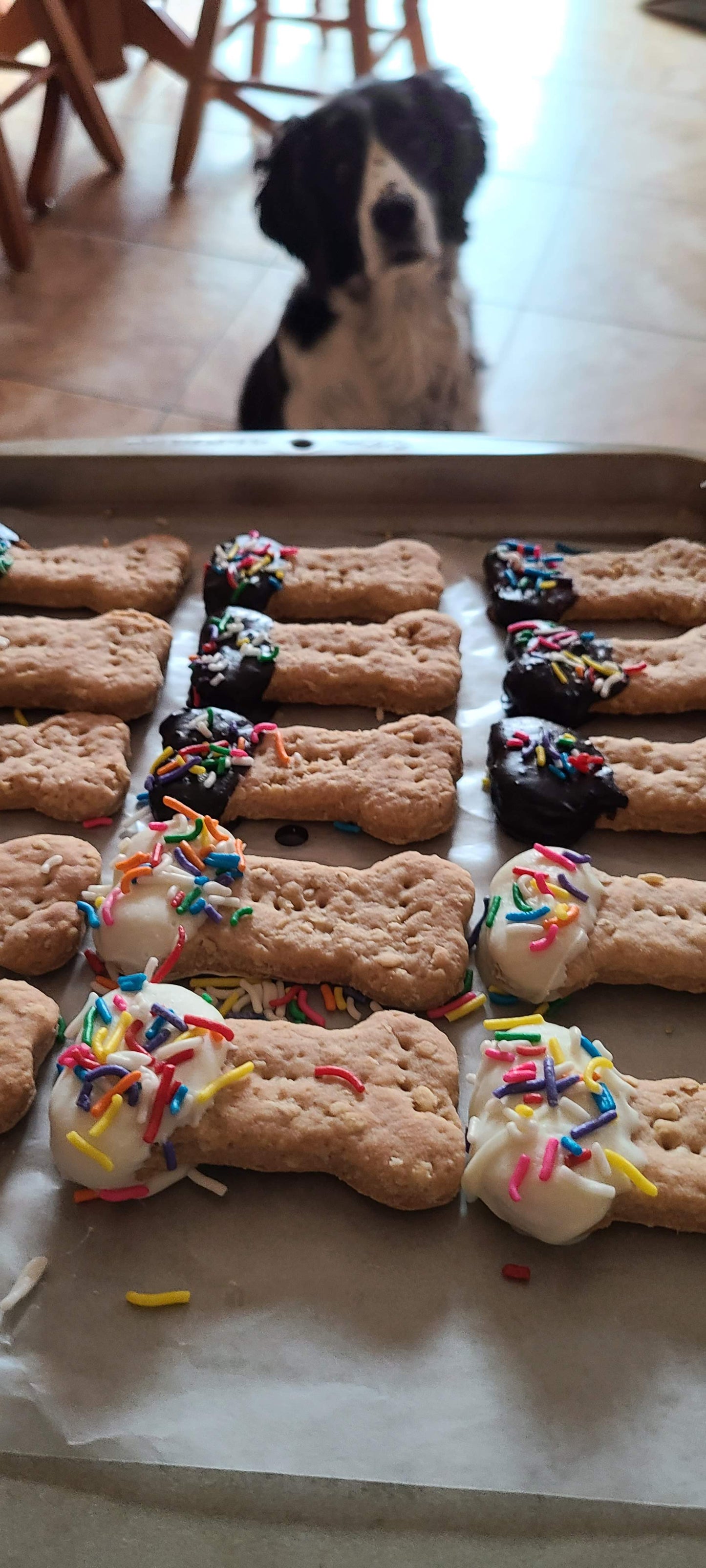 Dipped Peanut Butter Bones- Carob/Yogurt Icing