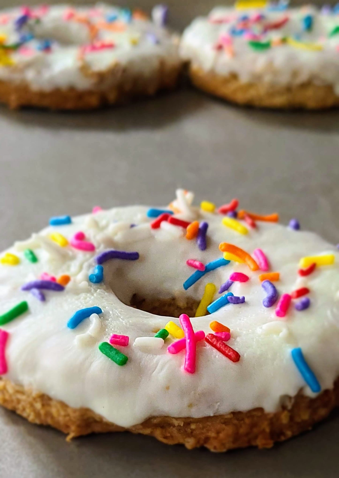 Yogurt Chip Frosted Doggie Donuts